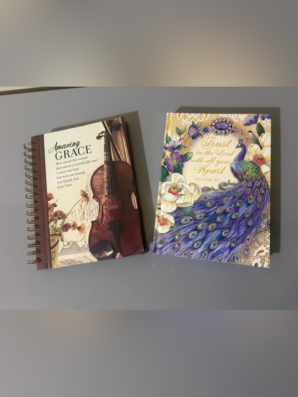 Violin & Peacock Spiral Notebooks - Brown and Multicolor Covers